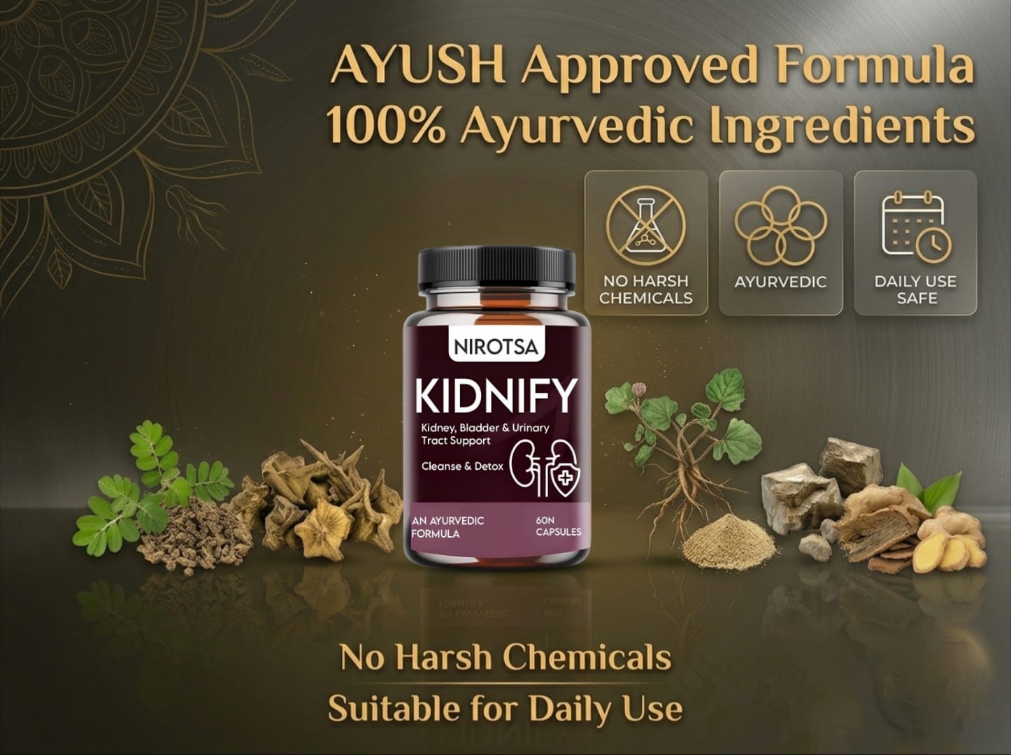 Kidnify Ayurvedic Medicine For Kidney Stone, UTI, Gallbladder | Detox & Cleanse EBC image 5